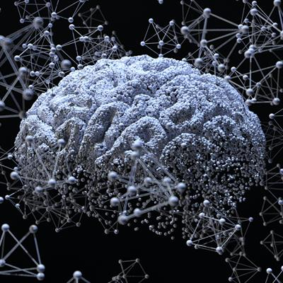 Particles in the Mind — How Air Pollution Crosses Into the Brain