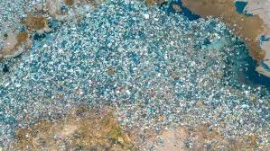 From Ocean to Body: The Microplastics Crisis We're Only Beginning to Understand
