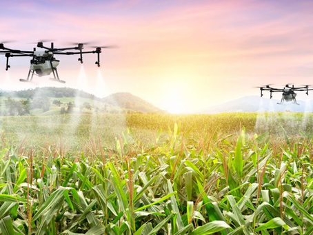 Precision Agriculture's Promise and Peril: When Technology Meets Food Security