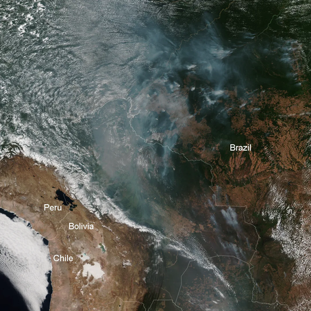 When the Amazon Burned: Satellite Images That Shocked the World