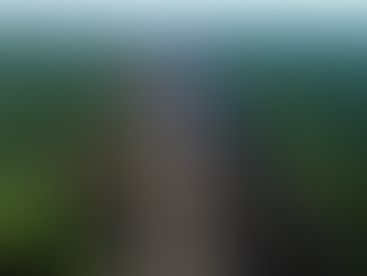 The Economics of Biodiversity Loss: When Nature Stops Working for Free