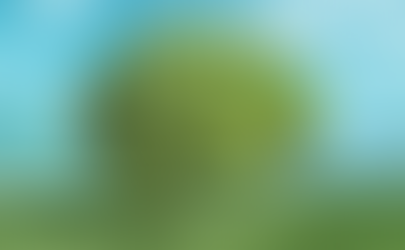 Nature Deficit and the Modern Brain