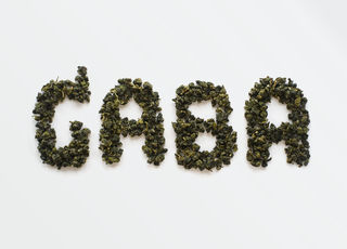 GABA — The Brain’s Brake Pedal