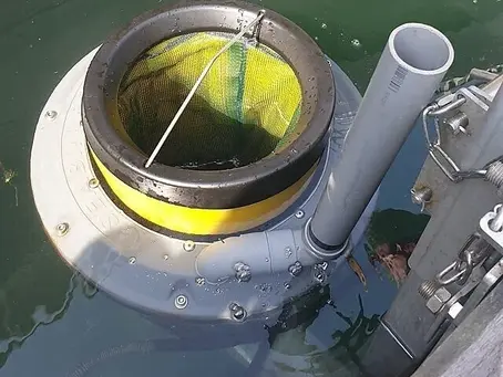 Effectiveness of Sea Bins Implemented