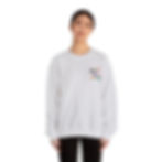 Thumbnail: Alpha Chi Omega  Unisex Crewneck Sweatshirt - Casual Everyday Style