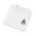 Thumbnail: Alpha Chi Omega  Crest Unisex Softstyle T-Shirt | Vintage Emblem Tee