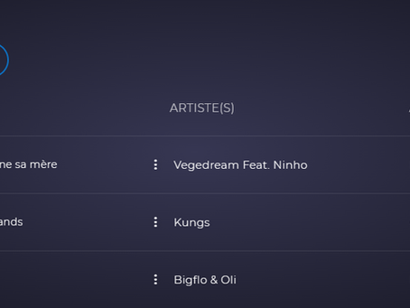Artistes : les titres de divers chanteurs et chanteuses sont sur Playup