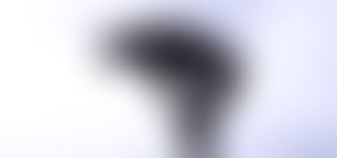 Directionally Challenged.