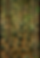 Screenshot 2025-05-24 at 8.35.58 PM.PNG