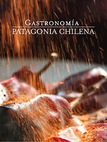 Libro GASTRONOMIA PMedia.jpg
