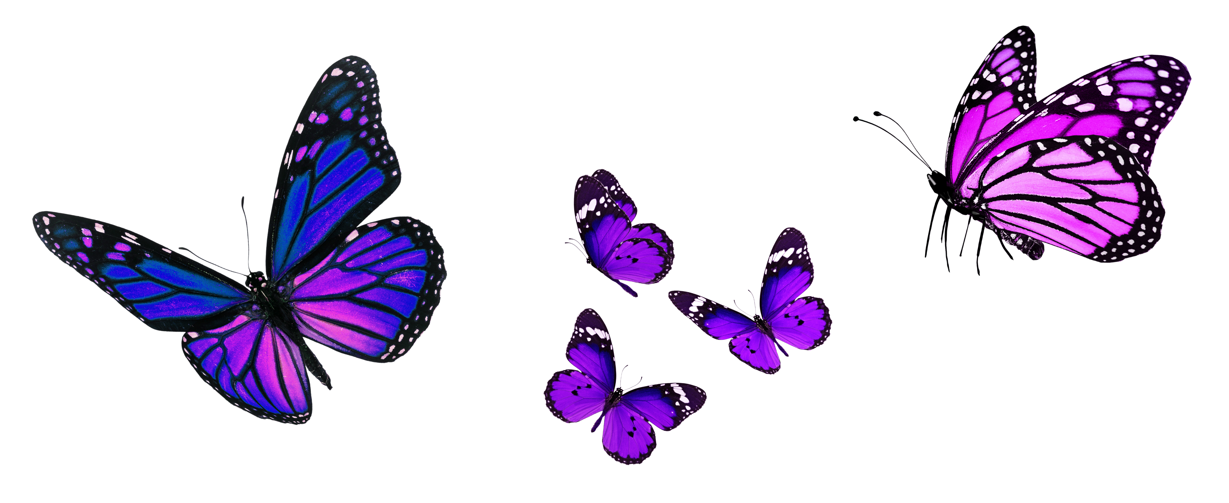 Girls Making the Grade with Voices logo
