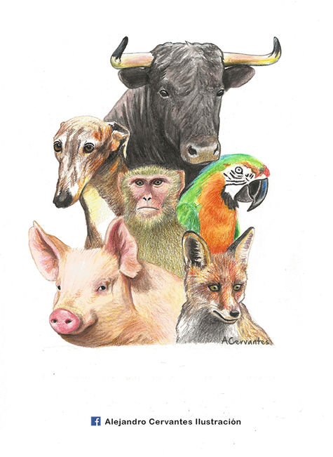 Animales
