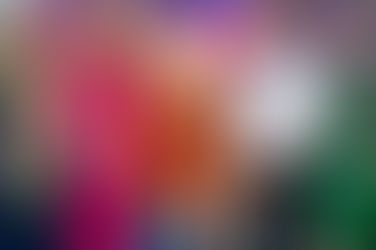 Sail Away Cruise Adventure at Wulfrun Rose Care Home