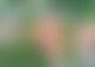 Why Condos Are a Popular Choice