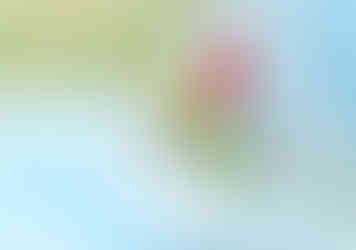 Key Things to Consider When Buying a Naples Vacation Rental