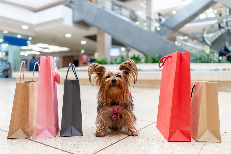 Pet-friendly Mall