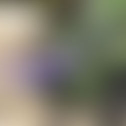 2021 Winter “Qigong for Wellness” on Fridays