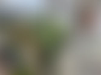 Life's Directions in Craig's eyes 