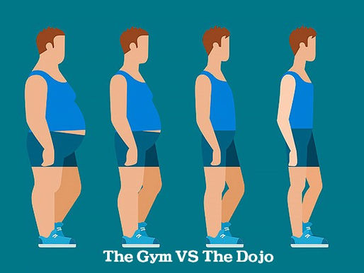 Dojo VS Gym - Why do you go?