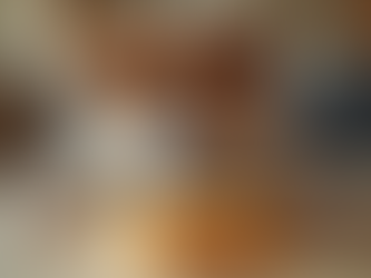 Top Dog Enrichment Activities for Happy Pets