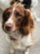 40454962_1951185814941506_23200983879212