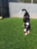 40509531_1951185774941510_20025828030315