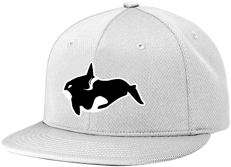 Thumbnail: Orca Whale Snapback