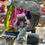 Thumbnail: Arai HOLO Néo Café Racer by ZILL