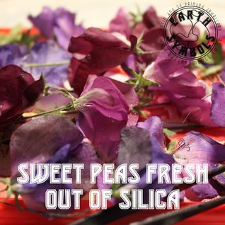 Drying Flowers in Silica for use in Resin Jewellery