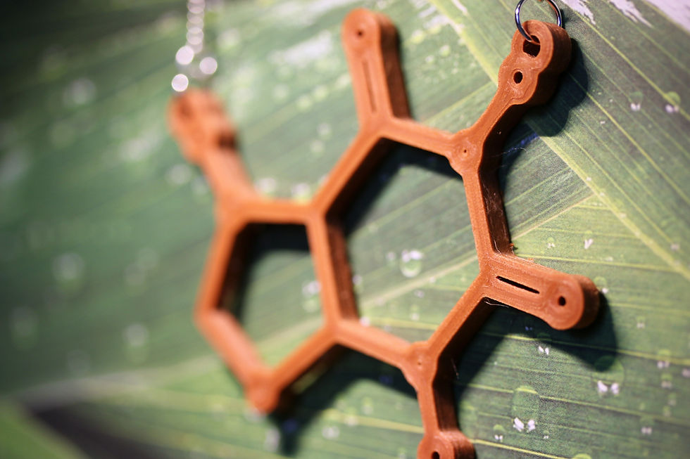 Thumbnail: Caffeine 3d Printed Wood Necklace