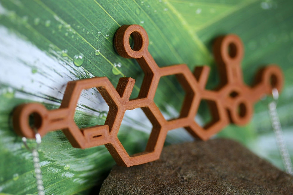 3d printed cortisol molecule necklace