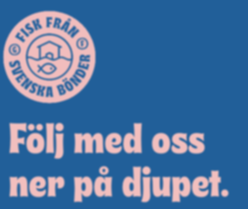 Screenshot 2025-06-01 at 21.49.56.png