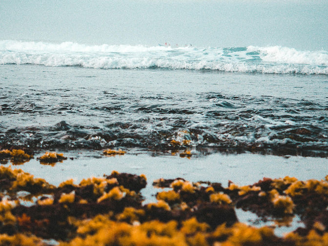 pexels-rifkyilhamrd-788215_edited.jpg
