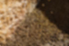 WarrendaleWagyu.82.jpg