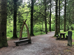 Coed y Brenin riverside walk