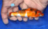 Thumbnail: 6" Showa Ginrin