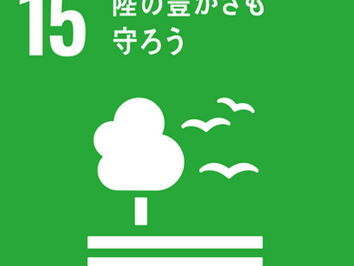 きのこ収穫しました