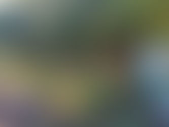 さくらいプレミアムフェスタ2024