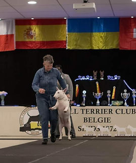 facebook_1715100240389_7193651798667021428 (1).jpg