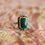 Thumbnail: Malachite Ring Size 9