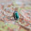 Thumbnail: Malachite Ring Size 9