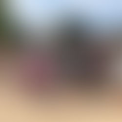 A Family Gathered, A Kingdom Growing