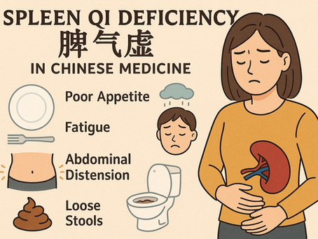 TCM Pattern Diagnosis: Spleen Qi (Chi) Deficiency