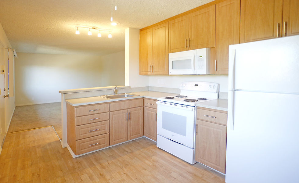 Remodeled kitchen with new appliances
