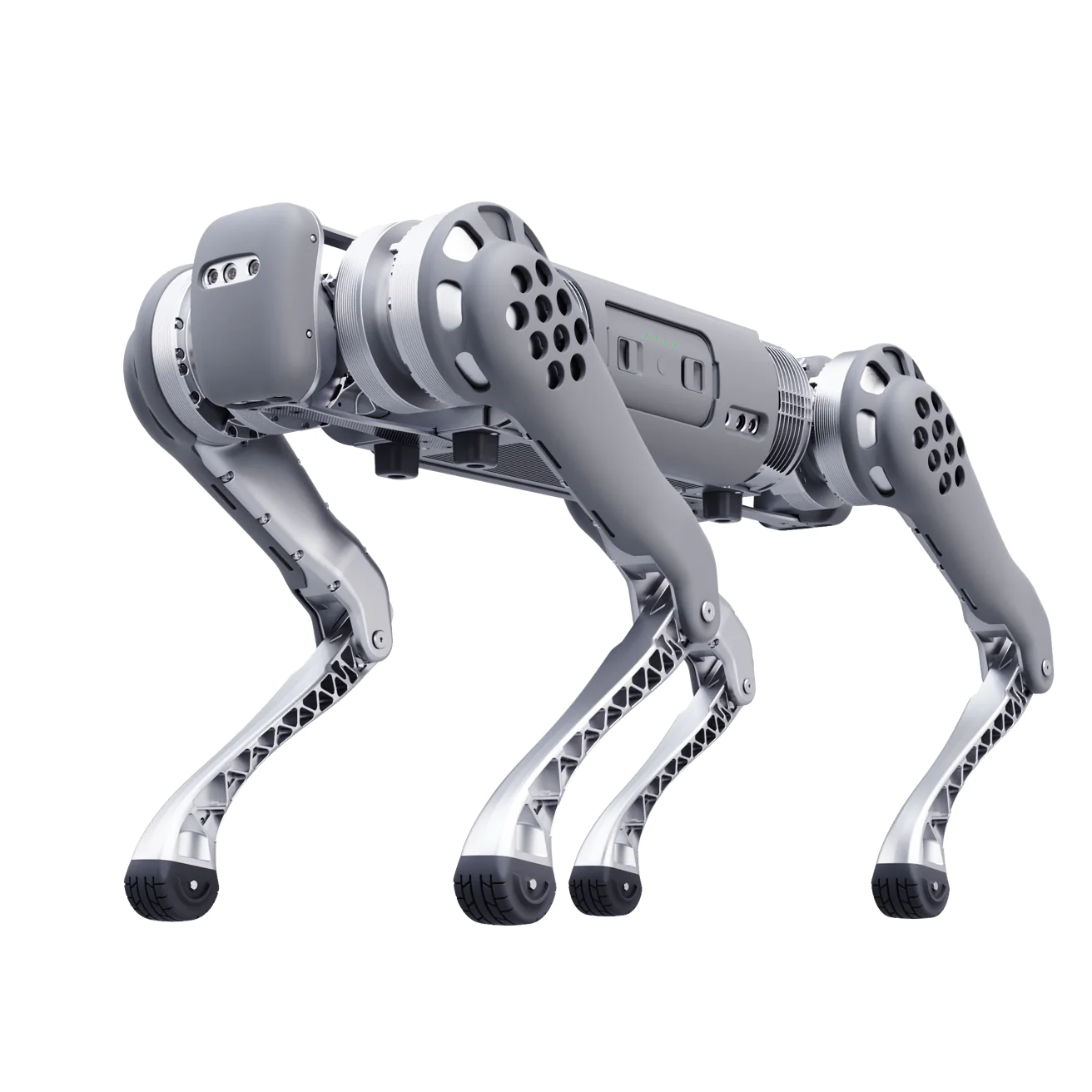 Advanced Robotic Innovation