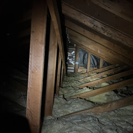 Attic Inspection