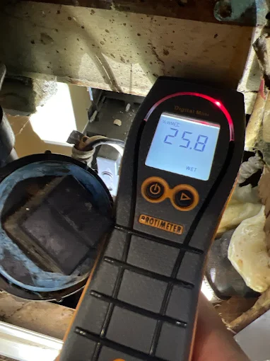 Moisture Testing  