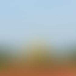 聖地聖者を巡る旅　オーロヴィル