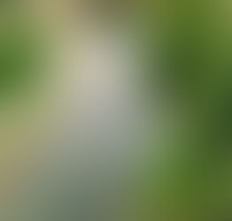 雨のおかげでしっとりヨガ