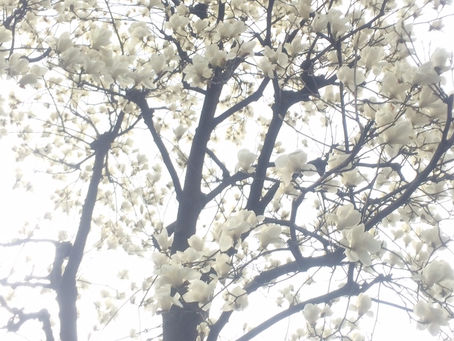 4月最初の土曜日は